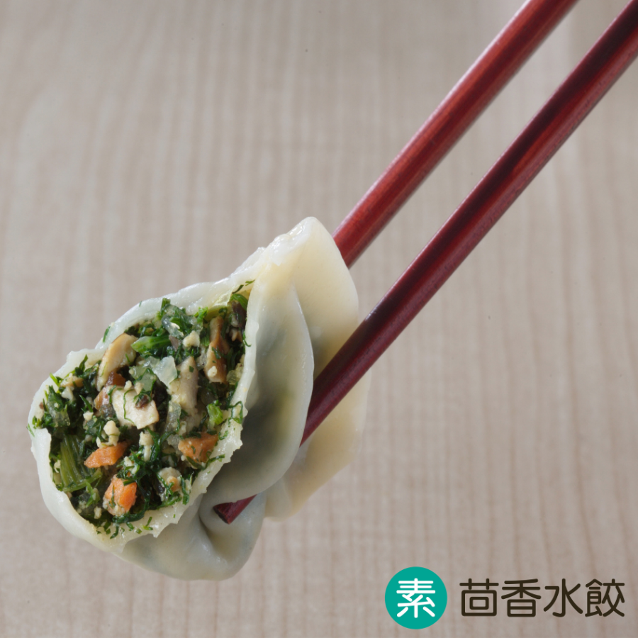 vegetable-dumplings-with-funnel-3